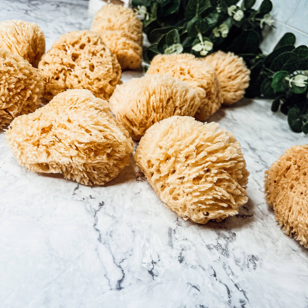 Gia Roma - Dead Sea Sponge, All Natural Body Wash Loofah 4-5"