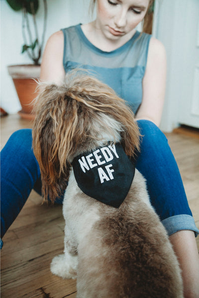 SNARK CITY - NEEDY AF Pet Bandana/Collar