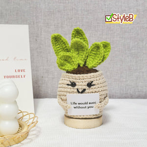 TOMOPOD LLC - Handmade Crochet Daisy/Succulent/Cactus, Emotional Plant