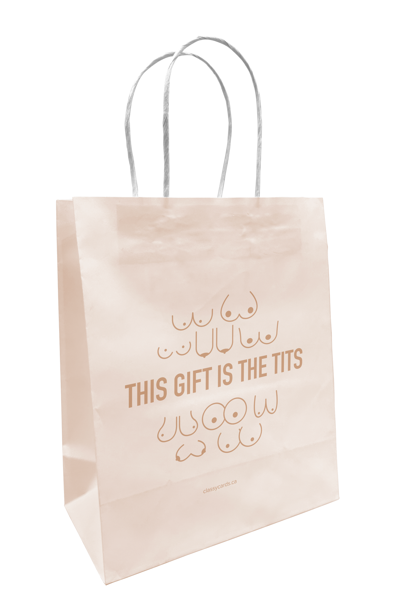 Classy Cards Creative - This Gift is the Tits Gift Bag