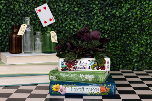 Steel Mill and Co. - Stacked Books Planter, Alice/Wind in the Willows/The Secret