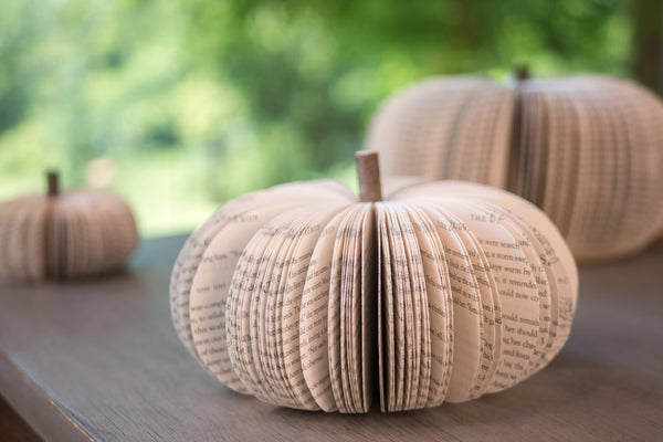 Root To Vine - Book Pumpkin, Natural, Fall and Halloween Decor: Small