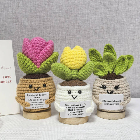 TOMOPOD LLC - Handmade Crochet Daisy/Succulent/Cactus, Emotional Plant