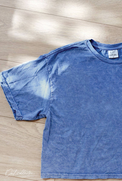 OAT COLLECTIVE - Basic Cropped Mineral Graphic Top