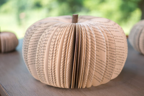 Root To Vine - Book Pumpkin, Natural, Fall and Halloween Decor: Small