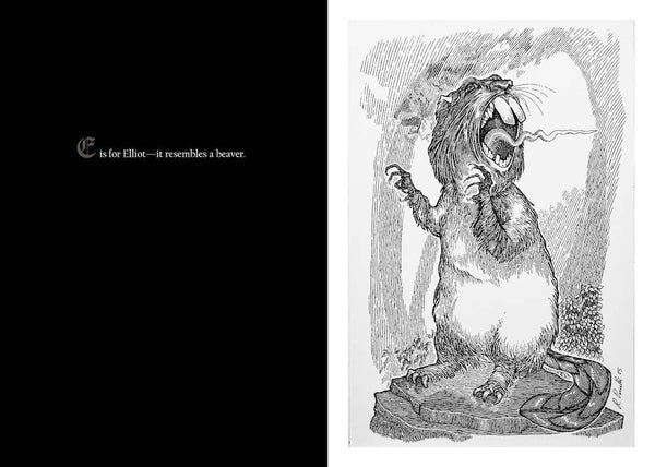 Familius, LLC - Alphabet of Oddities