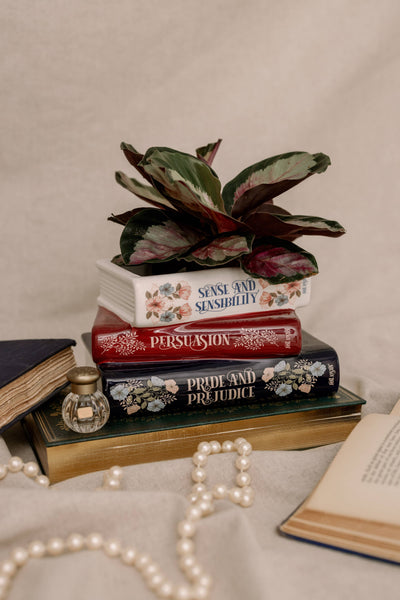 Steel Mill and Co. - Stacked Books Planter, Jane Austen