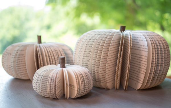 Root To Vine - Book Pumpkin, Natural, Fall and Halloween Decor: Small