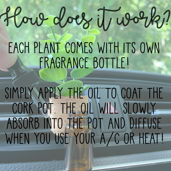 Vroom Blooms - Plant Car Vent Clip Air Freshener Diffuser (Reusable): Random - Fruity & Foodie / Random Plant
