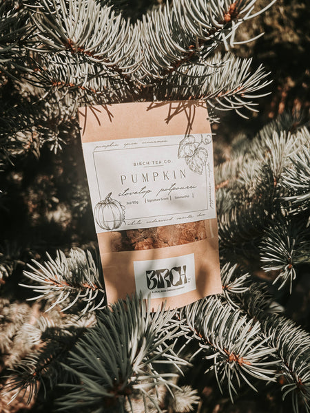 Birch Tea Co. - Pumpkin Potpourri Stovetop Kit 