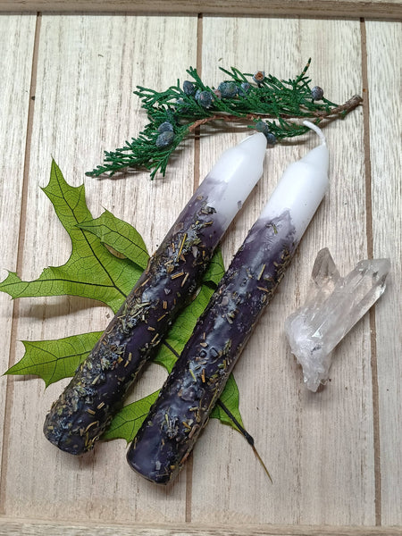 Elemental Earth Shop - Protection Herbal Intention Candles