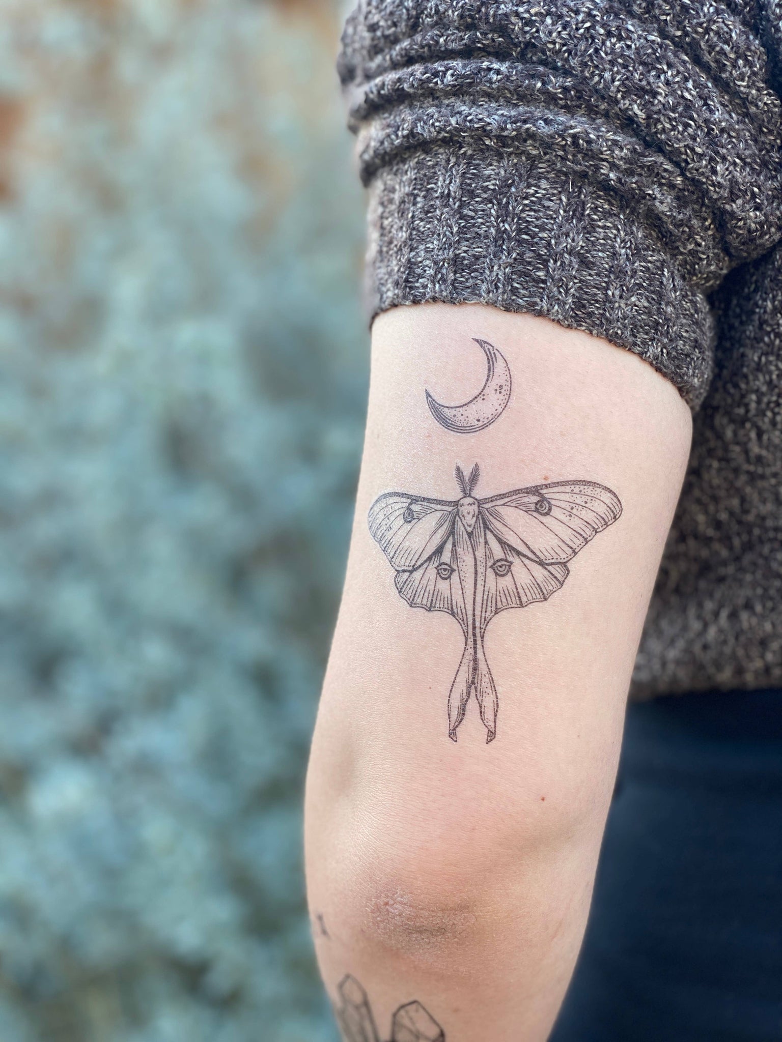 NatureTats - Luna Moth Temporary Tattoo