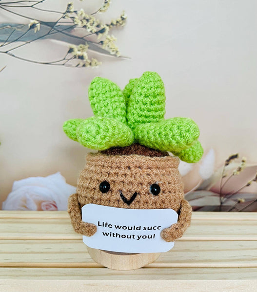 Crochet Cactus Succulent Plant Emotional Support