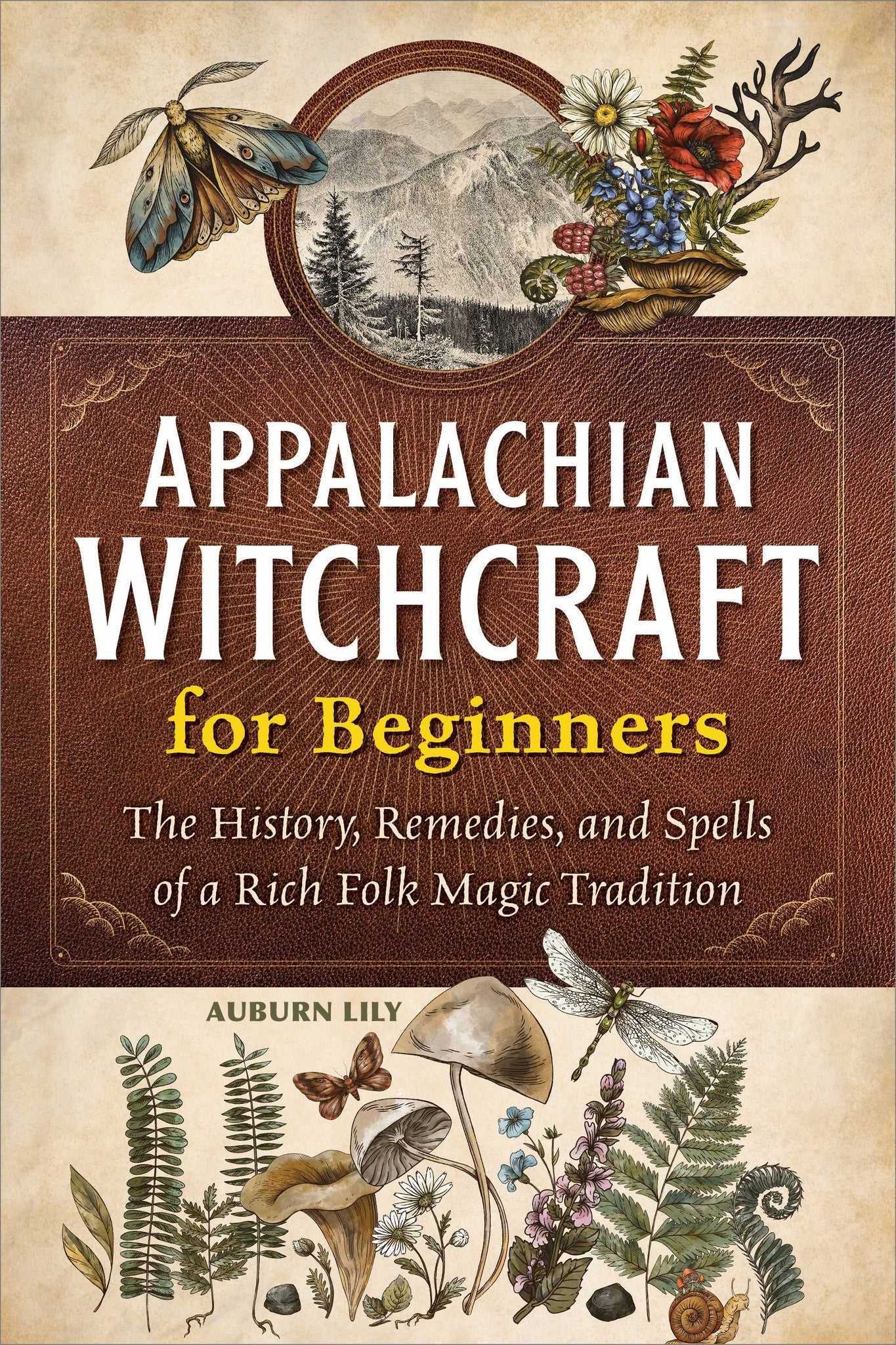 Sourcebooks - Appalachian Witchcraft for Beginners