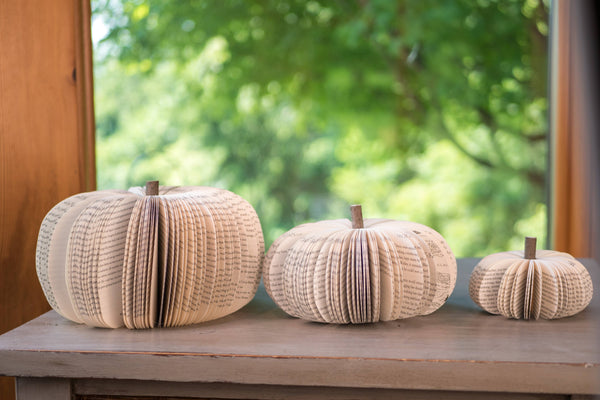 Root To Vine - Book Pumpkin, Natural, Fall and Halloween Decor: Small