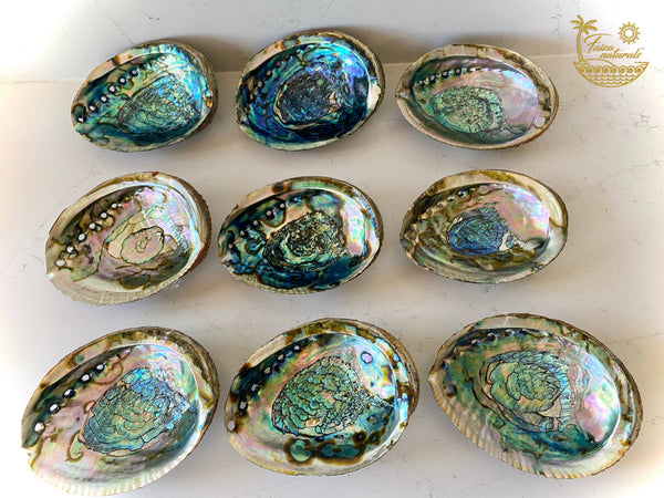 Faiza Naturals - Abalone Shell Smudge Bowls (Large)
