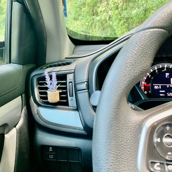 Vroom Blooms - Plant Car Vent Clip Air Freshener Diffuser (Reusable): Random - Fruity & Foodie / Random Plant