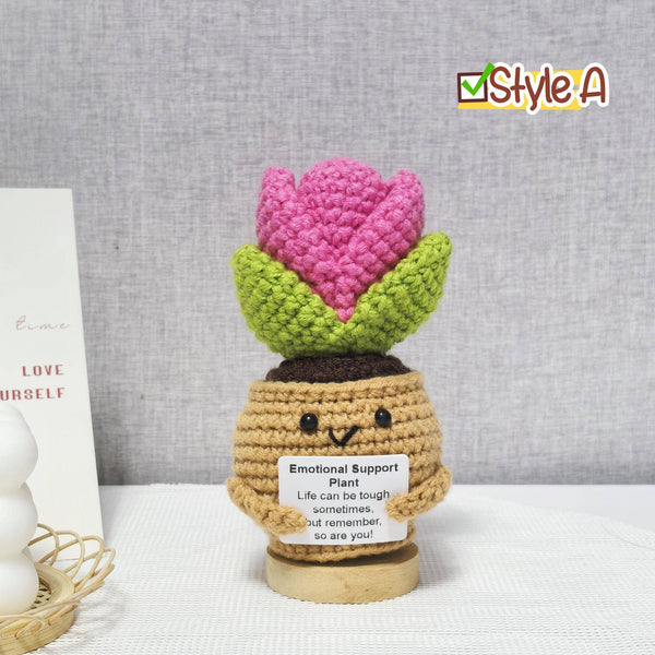 TOMOPOD LLC - Handmade Crochet Daisy/Succulent/Cactus, Emotional Plant