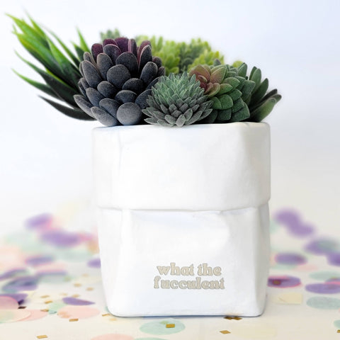 tcbco - "What the Fucculent" Plant Pot