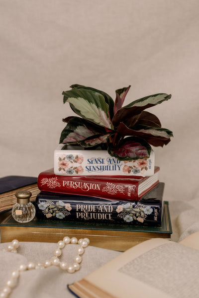 Steel Mill and Co. - Stacked Books Planter, Jane Austen