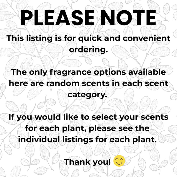 Vroom Blooms - Plant Car Vent Clip Air Freshener Diffuser (Reusable): Random - Fruity & Foodie / Random Plant