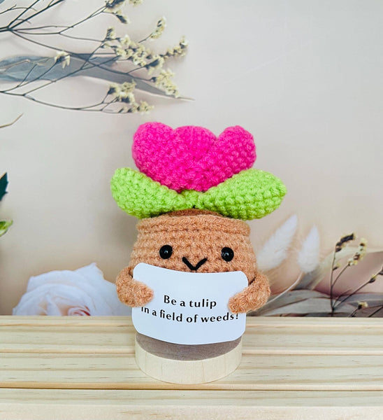 Crochet Cactus Succulent Plant Emotional Support