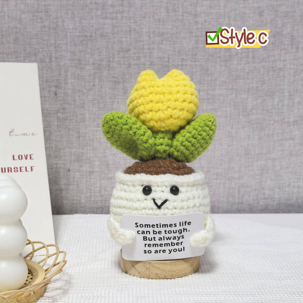 TOMOPOD LLC - Handmade Crochet Daisy/Succulent/Cactus, Emotional Plant