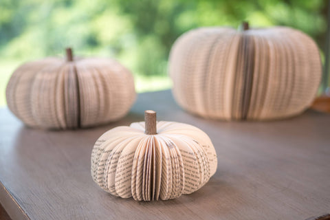 Root To Vine - Book Pumpkin, Natural, Fall and Halloween Decor: Small