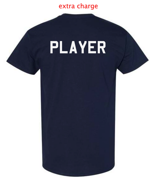 IDAHO STORM  - HORIZON PRINT