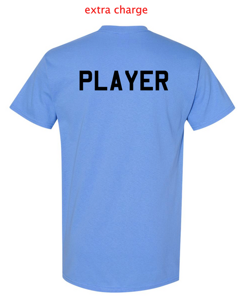 IDAHO STORM  - MINIMAL PRINT (DARK)