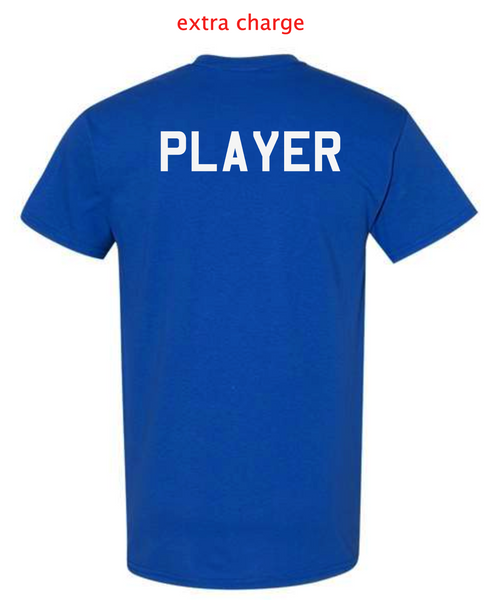 IDAHO STORM  - MINIMAL PRINT (LIGHT)