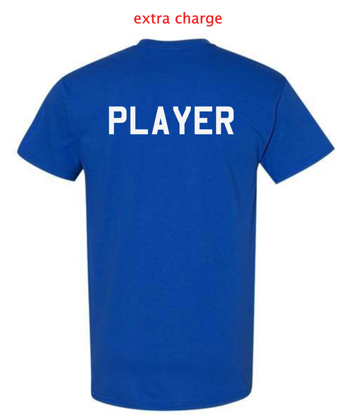 IDAHO STORM  - POWER PRINT