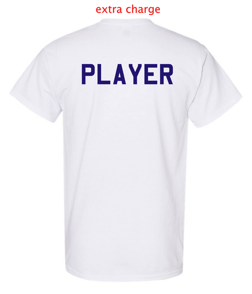 IDAHO STORM - SHIELD PRINT (DARK)