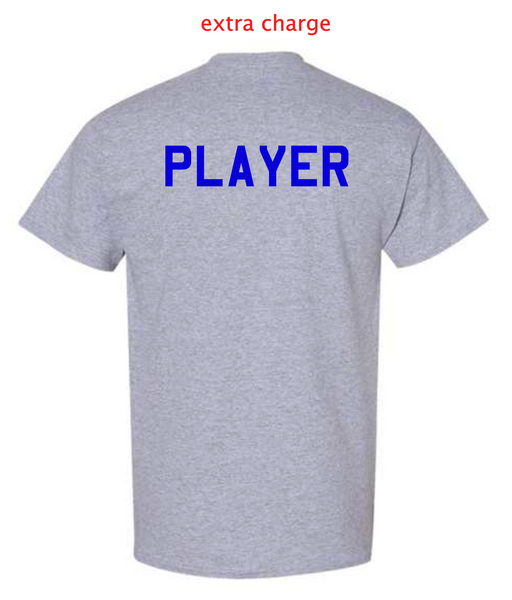 IDAHO STORM  - VARSITY PRINT