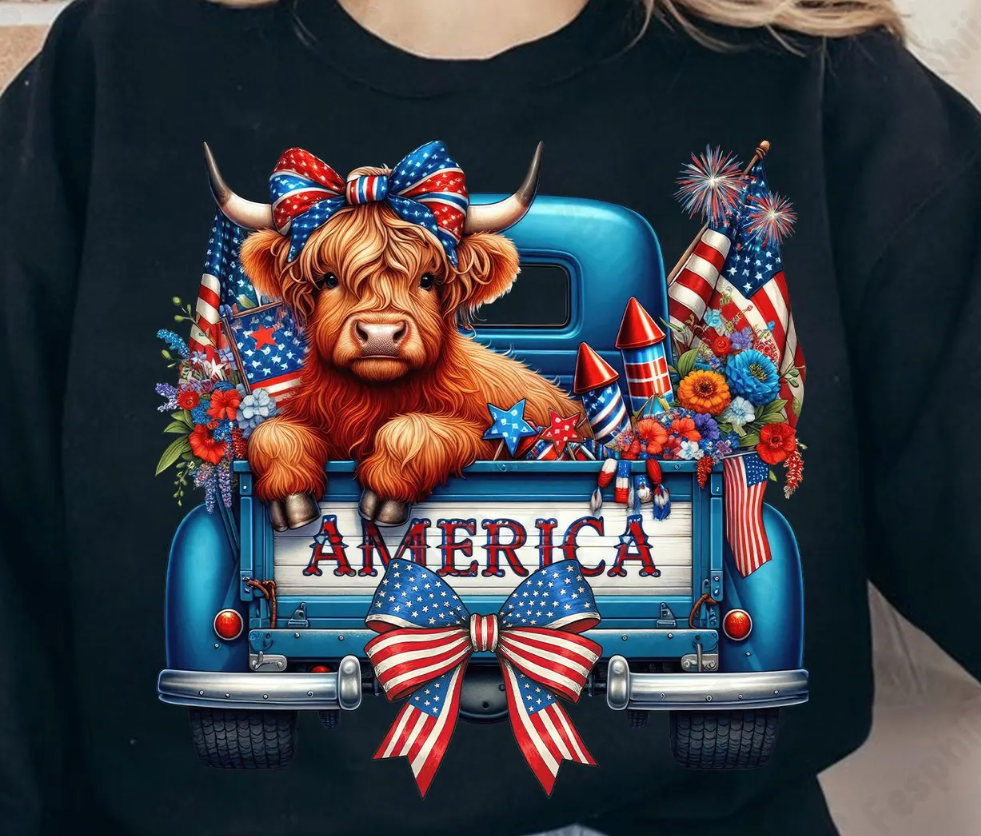 4TH OF JULY HIGHLAND COW
