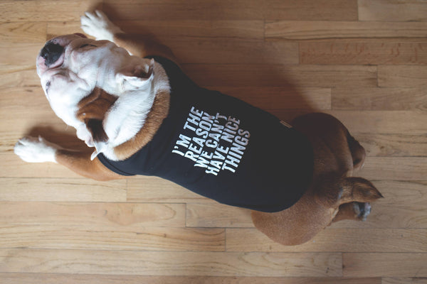 SNARK CITY - "I'm The Reason" Pet Tee: XL