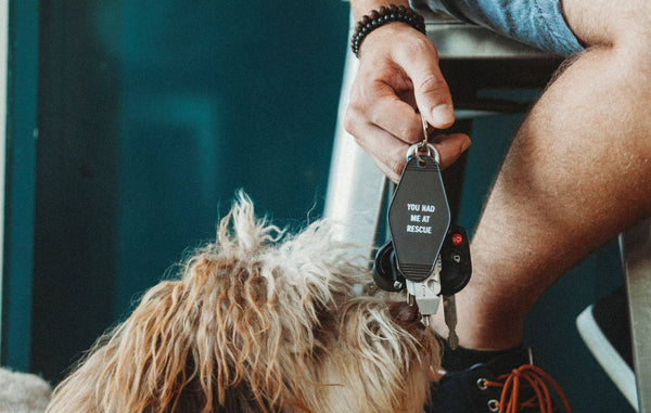 SNARK CITY - You Had Me At Rescue Keychain