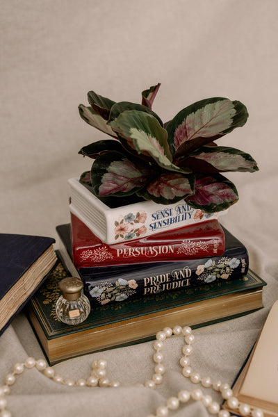 Steel Mill and Co. - Stacked Books Planter, Jane Austen