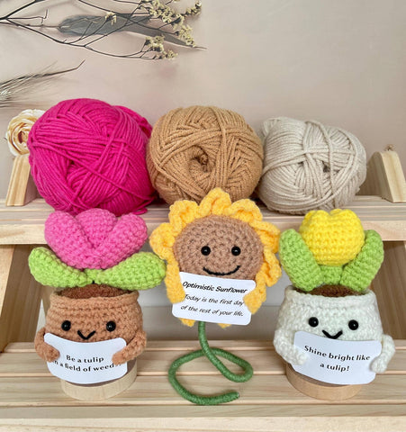 Crochet Cactus Succulent Plant Emotional Support