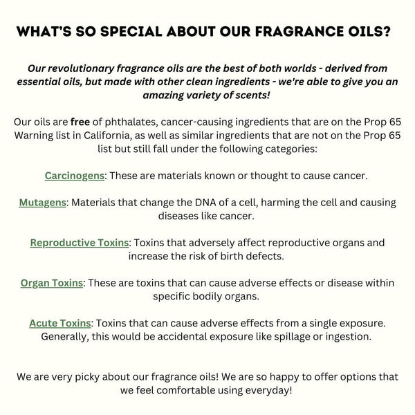 Vroom Blooms - Short Aloe Vera Plant Vent Clip Car Air Freshener (Reusable)