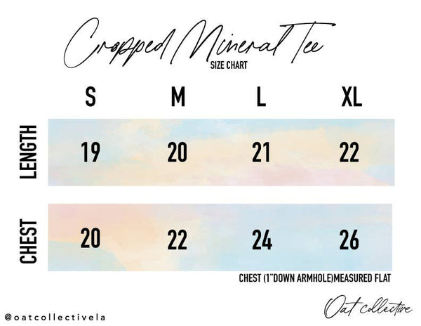 OAT COLLECTIVE - Basic Cropped Mineral Graphic Top