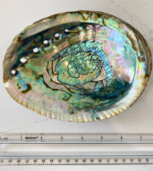 Faiza Naturals - Abalone Shell Smudge Bowls (Large)