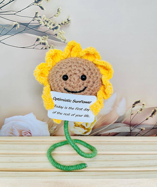 Crochet Cactus Succulent Plant Emotional Support
