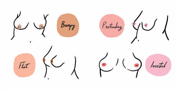 Chronicle Books - The Boob Book