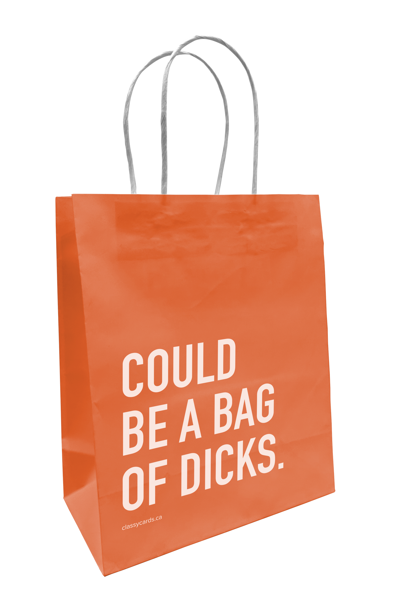 Classy Cards Creative - Bag of Dicks Gift Bag