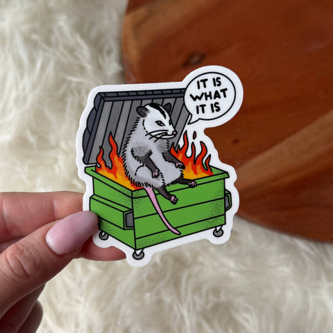 Big Moods - "It is what it is" Possum Dumpster Fire Sticker