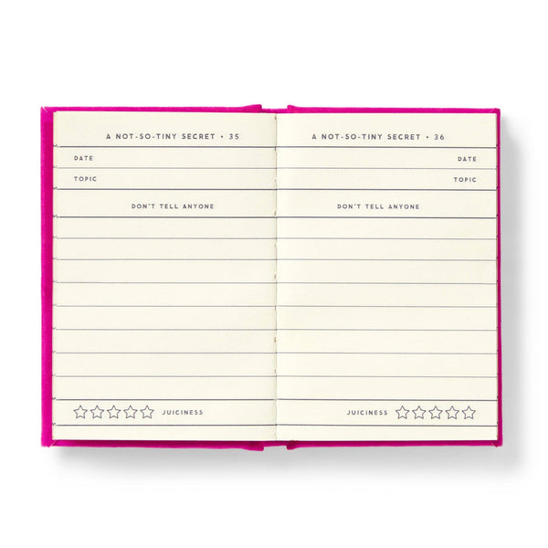 Chronicle Books - Brass Monkey Tiny Diary for Not So Tiny Secrets