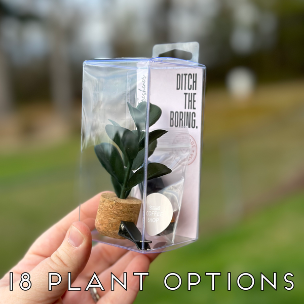 Vroom Blooms - Plant Car Vent Clip Air Freshener Diffuser (Reusable): Random - Warm & Woodsy / Random Plant