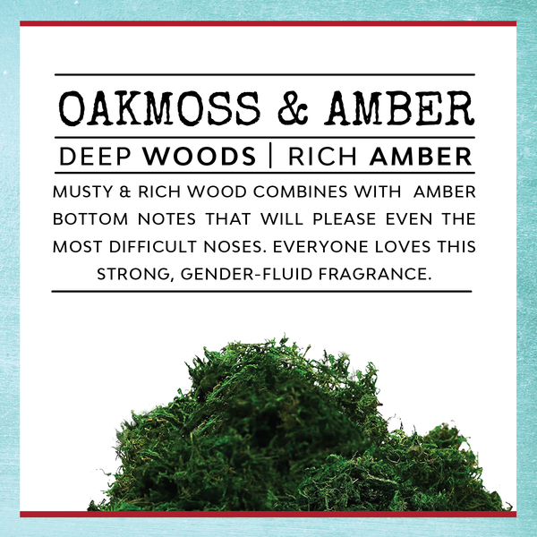 Funny Candle - Please Don't Do Meth In Our Bathroom: Oakmoss & Amber