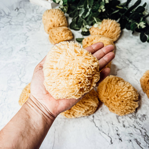 Gia Roma - Dead Sea Sponge, All Natural Body Wash Loofah 4-5"